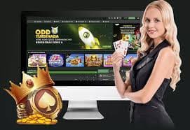 bet905